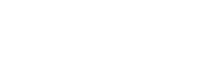 Stephen J Burg
