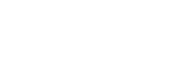 Stephen J Burg