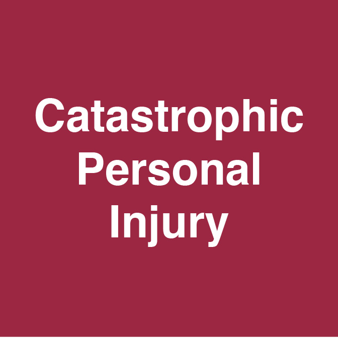 stephen j burg, catastrophic personal injury